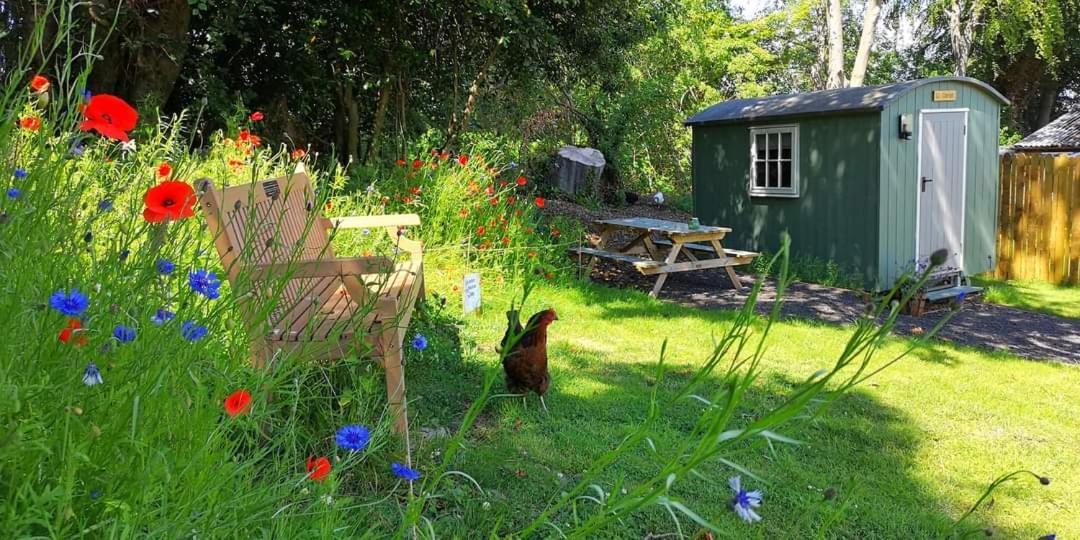 Wooler Hostel And Shepherds Huts Exterior foto